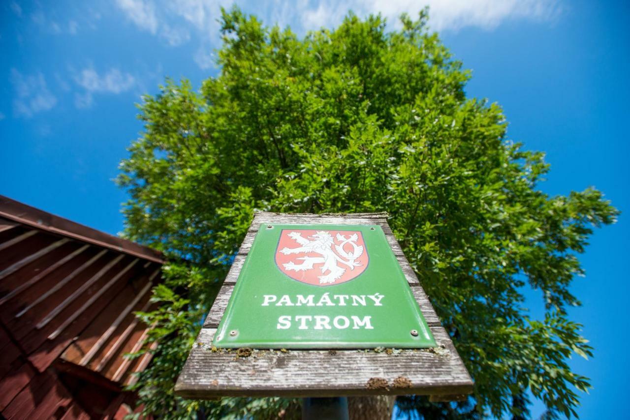 Chata Jasan Kořenov Eksteriør billede